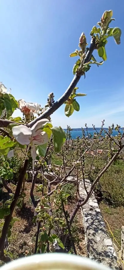 Villa Bobica Split Kastela